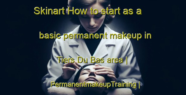 Skinart How to start as a basic permanent makeup in Tiers Du Bas area | PermanentmakeupTraining | PermanentmakeupClasses | SkinartTraining-France